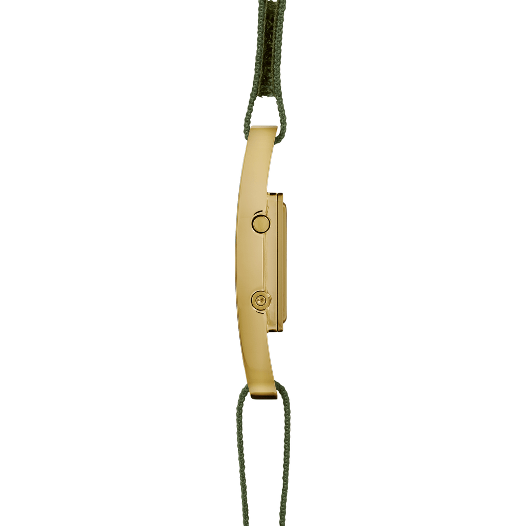 PXR5-PG/OL